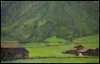 1954 - Valle di Sesto